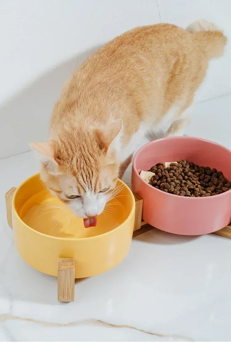 B7 Self-Assembly Ceramic Double Cat Bowl Dog Bowl 400ML Pet Feeding Water Bowl Cat Puppy Feeder Product SuppliesFood Water Bowls