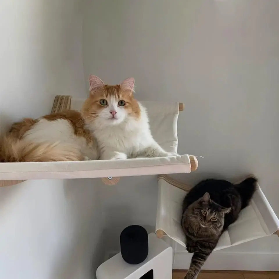Wooden Cat Tree Tower Cat Wall Furniture Climbing Shelves Perches Sisal Scratcher Hammock Steps and Ladder Indoor Cats Walk Gym