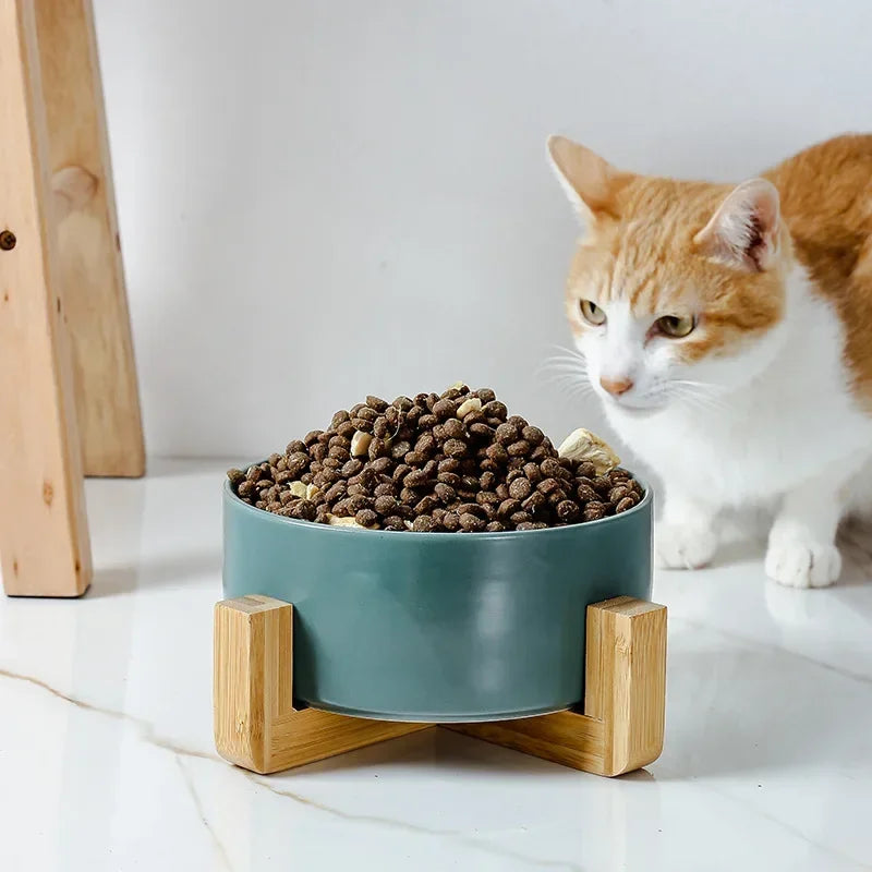 B7 Self-Assembly Ceramic Double Cat Bowl Dog Bowl 400ML Pet Feeding Water Bowl Cat Puppy Feeder Product SuppliesFood Water Bowls