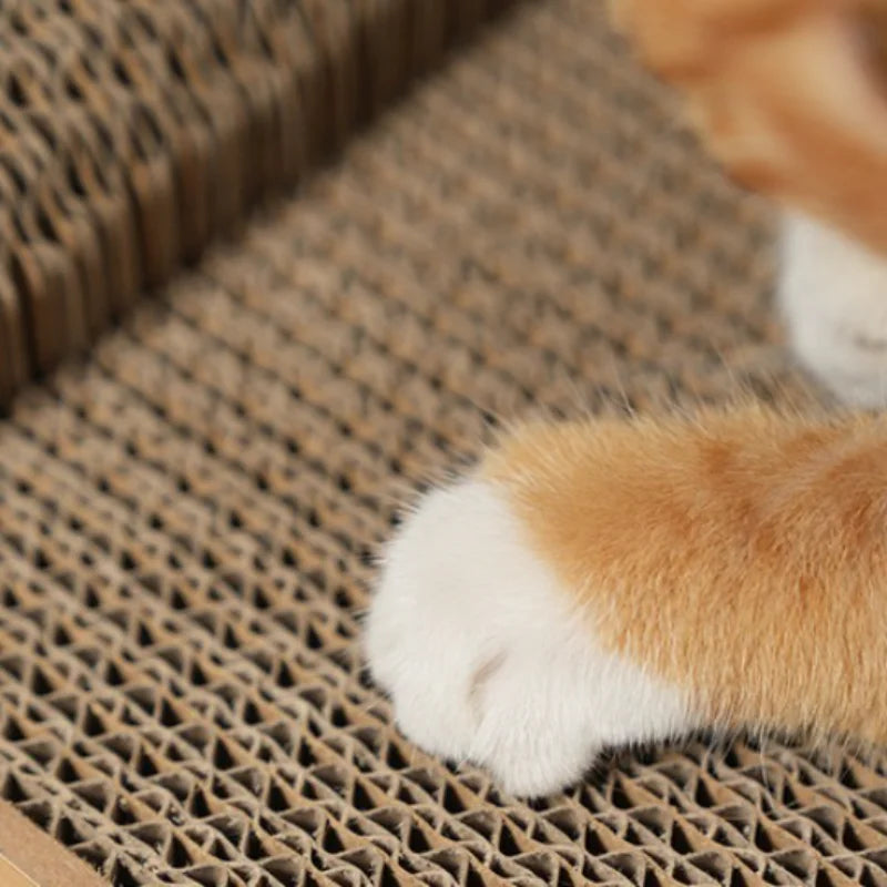 2in 1 Cat Scratching Board, Cat Scratching Post