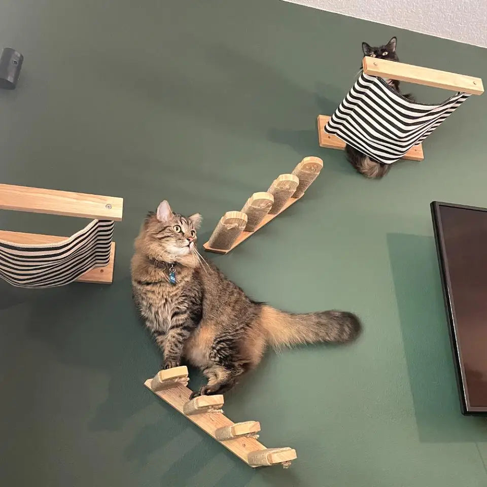 Wooden Cat Tree Tower Cat Wall Furniture Climbing Shelves Perches Sisal Scratcher Hammock Steps and Ladder Indoor Cats Walk Gym