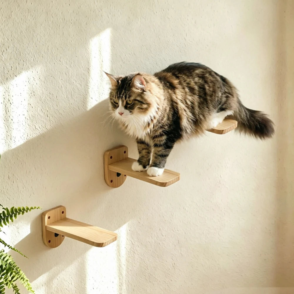 Wall Mounted Cat Shelves Solid Wood Cat Climbing Perch Floating Steps Cat Wall Furniture DIY Cat Tree Platform for Indoor Kitten