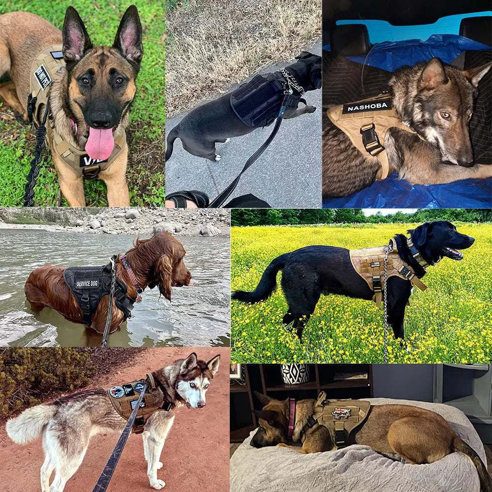Large Dog Harness Pet German Shepherd Malinois Training Vest Military Tactical Medium Dog Harnesses Hunting For Dogs Accessories