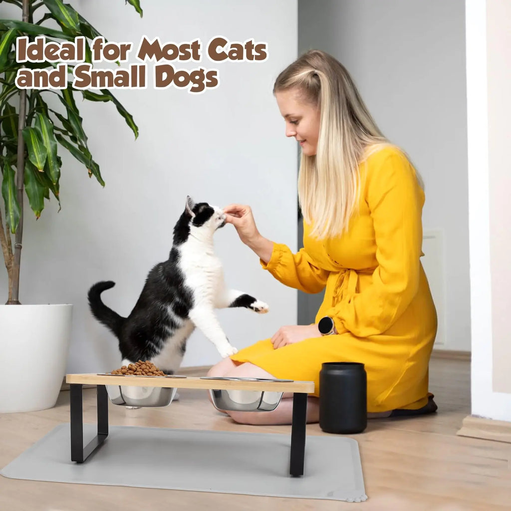 Elevated Cat Bowls with Food Mat 15° Tilted Stand Raised Cat Dishes for Food and Water Feeder 2 Stainless Steel Bowls for Cats