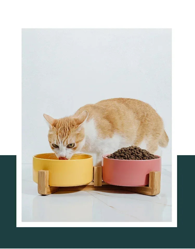 B7 Self-Assembly Ceramic Double Cat Bowl Dog Bowl 400ML Pet Feeding Water Bowl Cat Puppy Feeder Product SuppliesFood Water Bowls